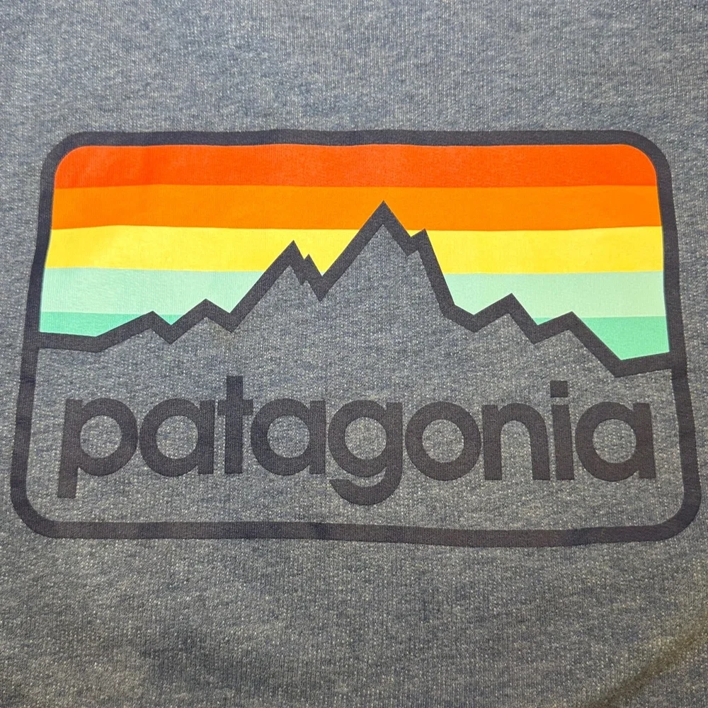 Patagonia Logo Hoodie Lightweight Organic Cotton Size Medium - Picture 5 of 5
